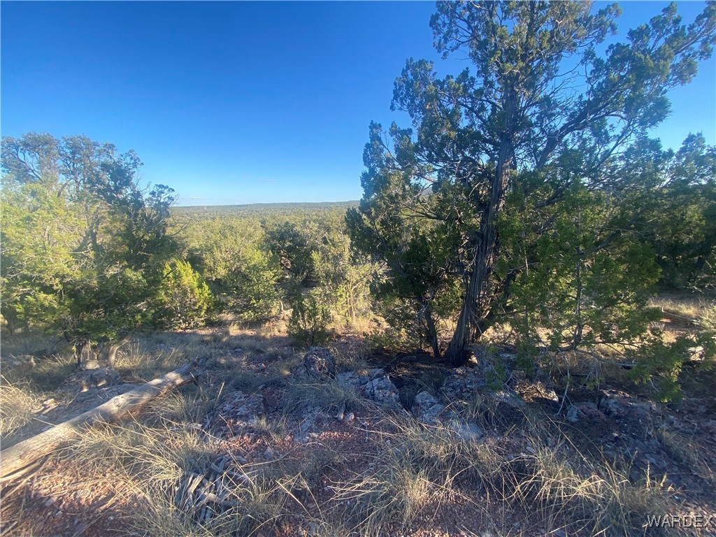 34440 El Capitan Road Seligman, AZ 86337 - Photo 19 of 29 Other