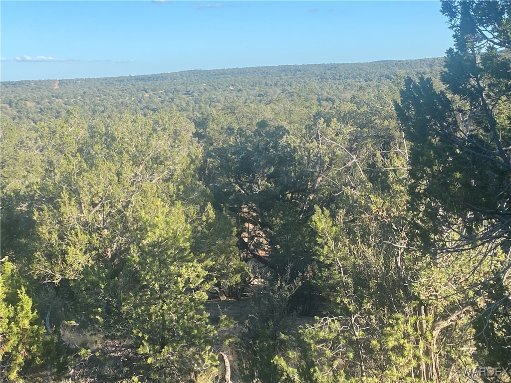 34440 El Capitan Road Seligman, AZ 86337 - Photo 20 of 29 Other