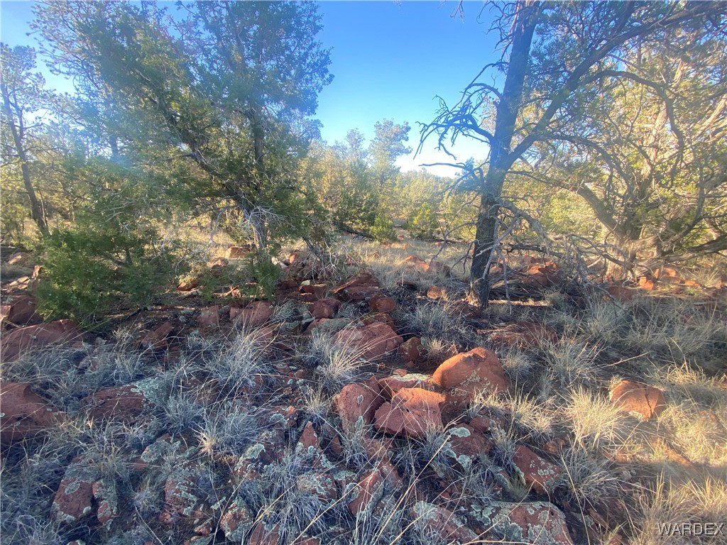 34440 El Capitan Road Seligman, AZ 86337 - Photo 2 of 29 Other