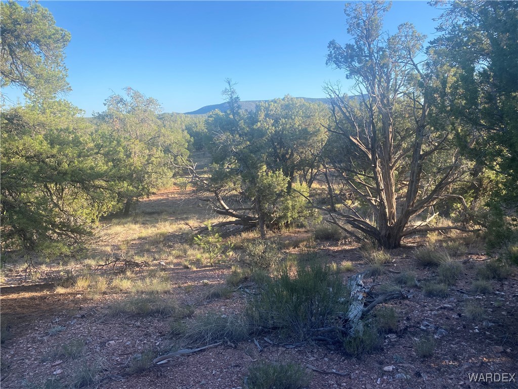 34440 El Capitan Road Seligman, AZ 86337 - Photo 21 of 29 View