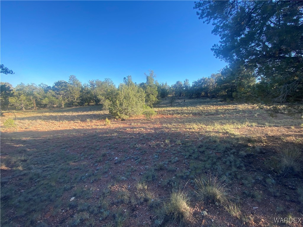 34440 El Capitan Road Seligman, AZ 86337 - Photo 22 of 29 Yard