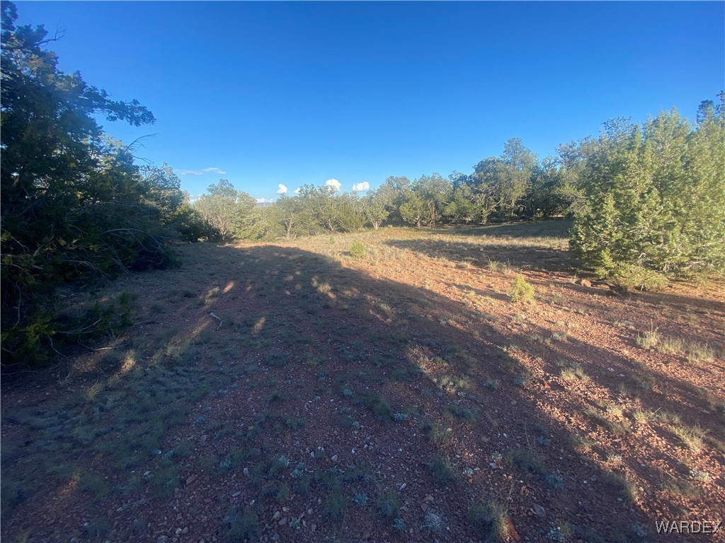 34440 El Capitan Road Seligman, AZ 86337 - Photo 23 of 29 Community