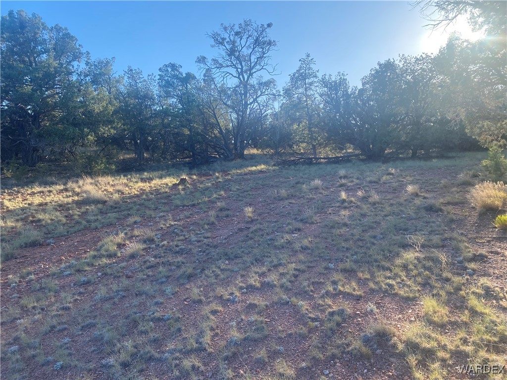 34440 El Capitan Road Seligman, AZ 86337 - Photo 24 of 29 Other