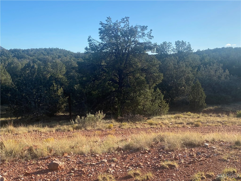 34440 El Capitan Road Seligman, AZ 86337 - Photo 26 of 29 Other