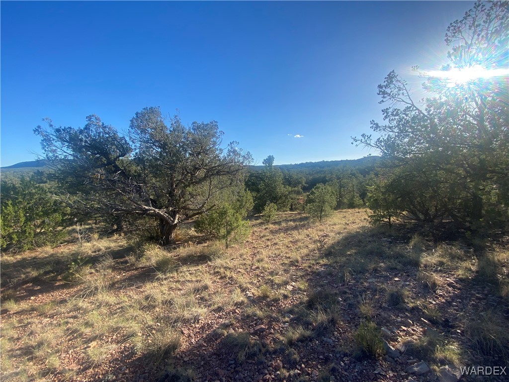 34440 El Capitan Road Seligman, AZ 86337 - Photo 3 of 29 View
