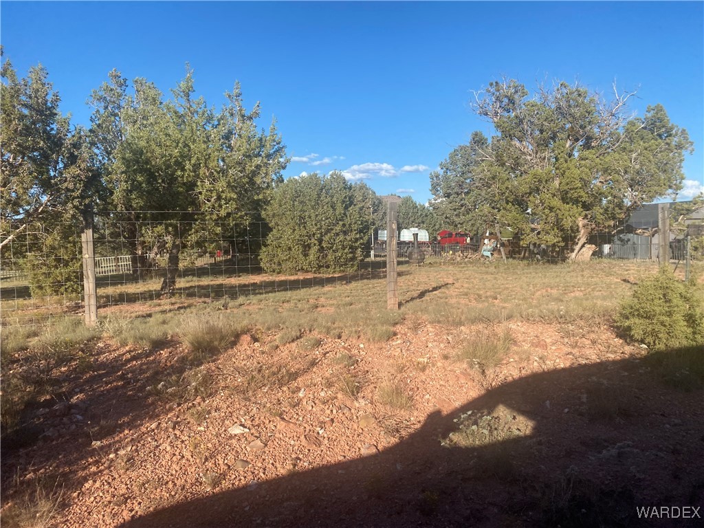 34440 El Capitan Road Seligman, AZ 86337 - Photo 5 of 29 Yard