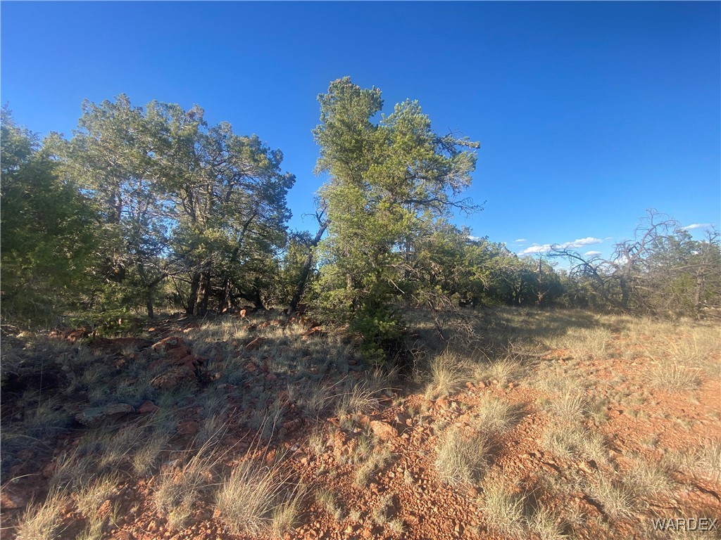 34440 El Capitan Road Seligman, AZ 86337 - Photo 8 of 29 Other
