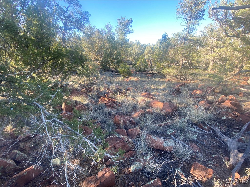 34440 El Capitan Road Seligman, AZ 86337 - Photo 10 of 29 Other