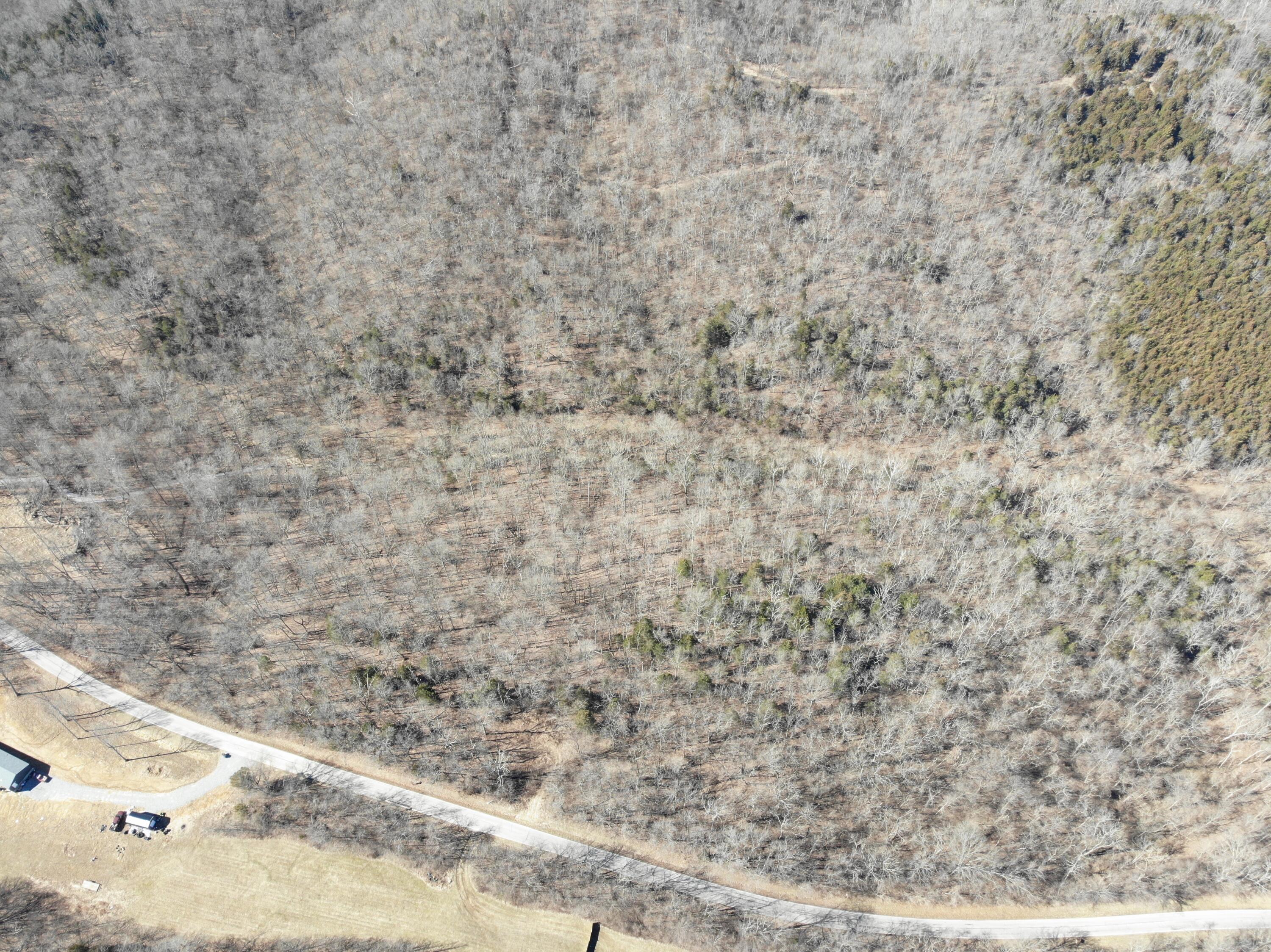 0 Persimmon Ridge Road Carlisle, KY 40311 - Photo 13 of 23 DJI_0845