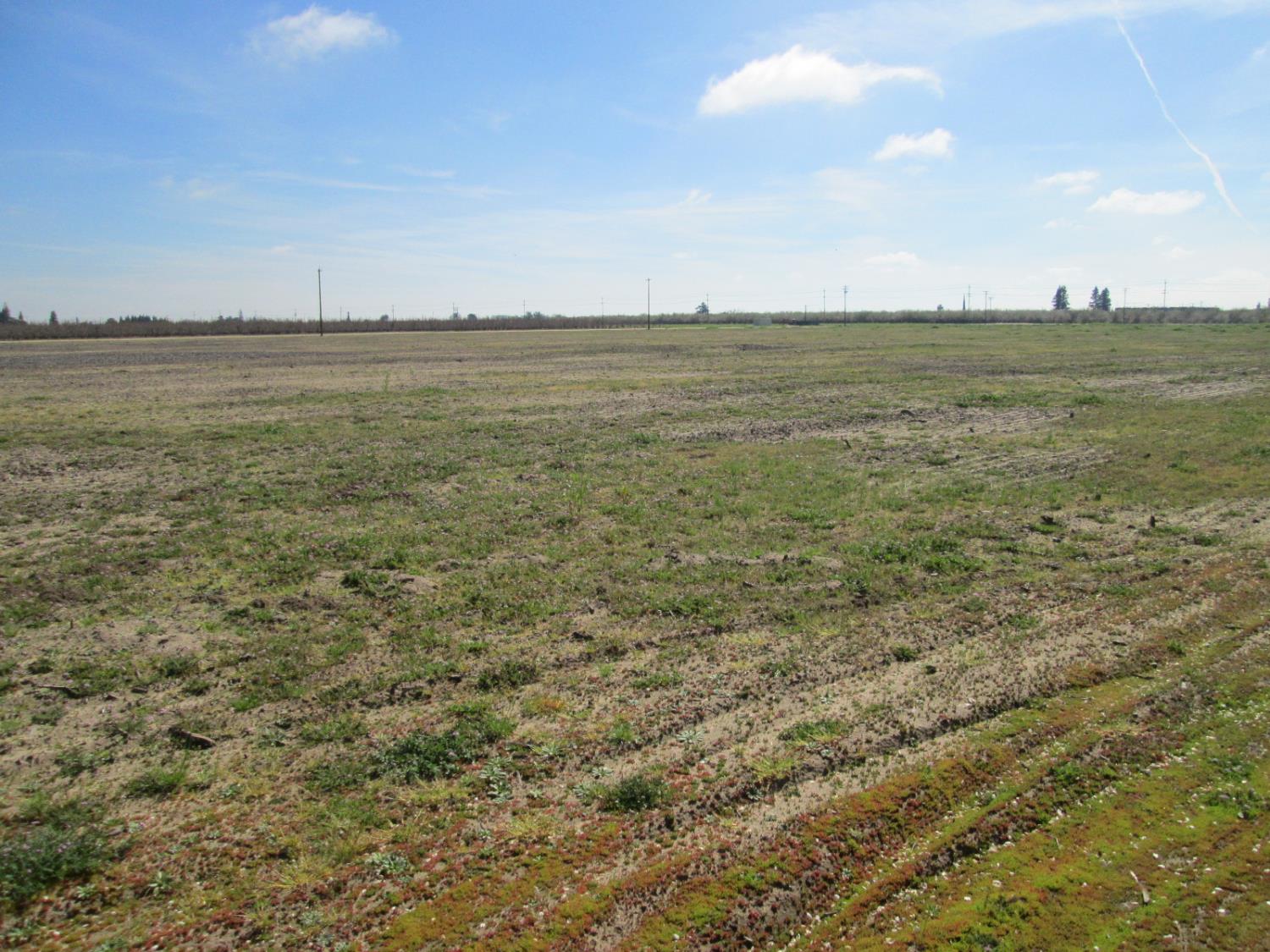 18650 East Eugenia Avenue Ripon, CA 95366 - Photo 2 of 8