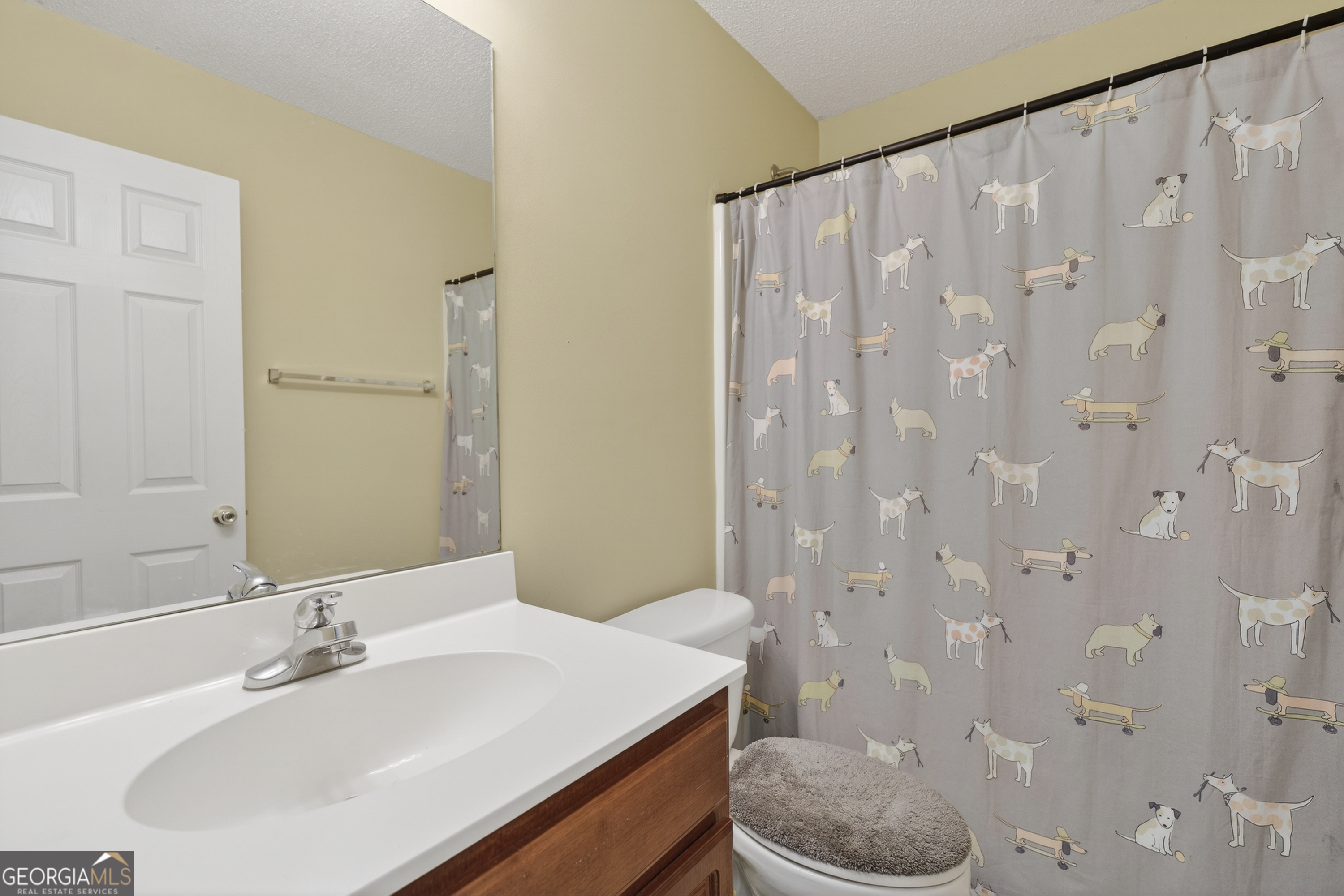 226 Amy Lane Gray, GA 31032 - Photo 25 of 46 a bathroom with a sink a toilet and shower curtain