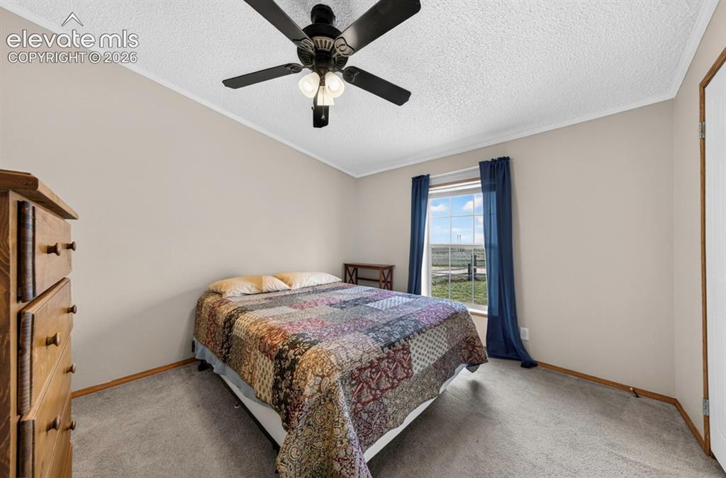 755 High Prairie Point Calhan, CO 80808 - Photo 19 of 50
