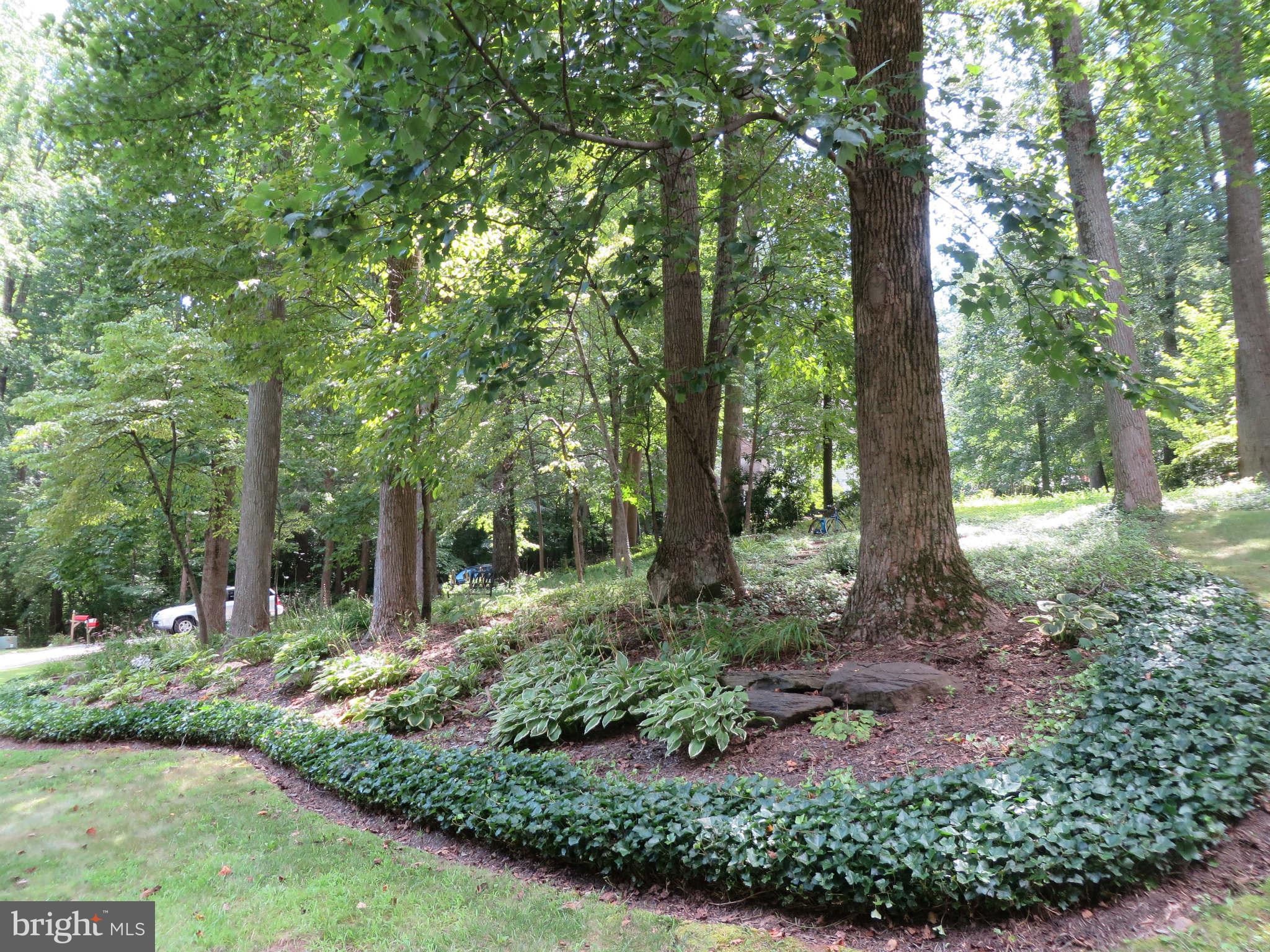 24 Elmridge Road Arnold, MD 21012 - Photo 3 of 30 a view of outdoor space and garden