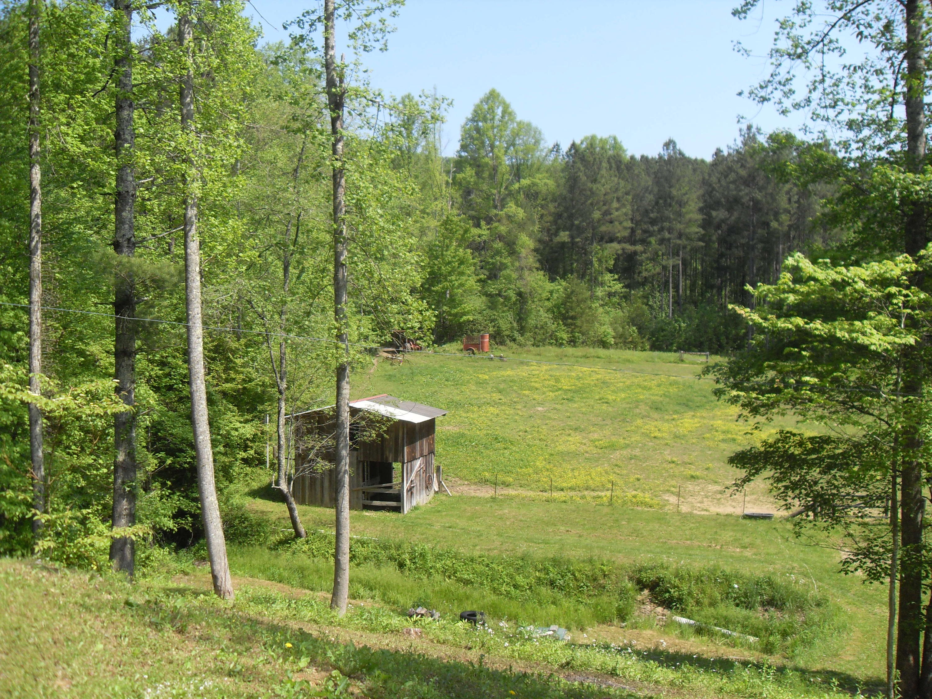 3989 Old Highway 2 Cisco, GA 30708 - Photo 17 of 22 038