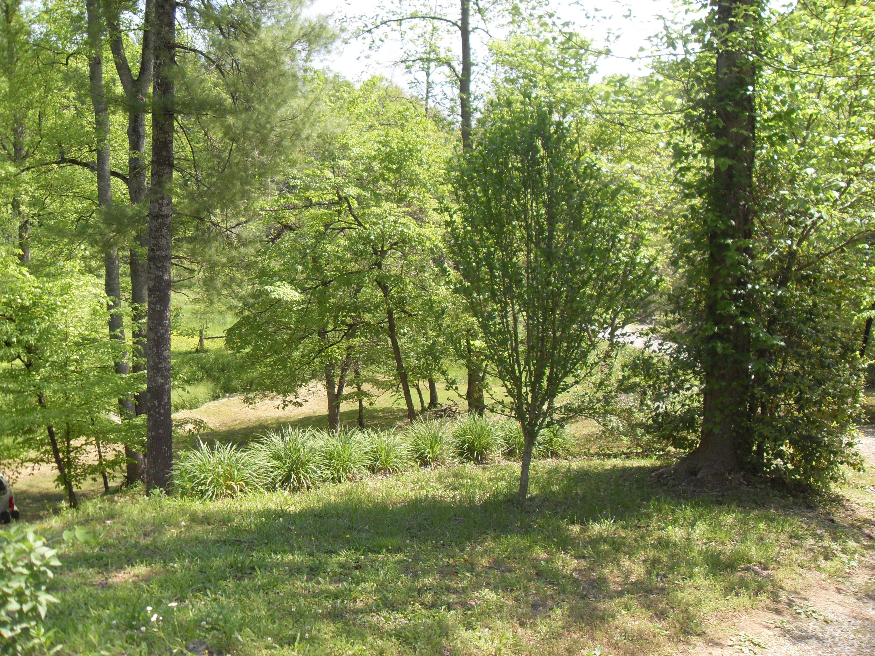 3989 Old Highway 2 Cisco, GA 30708 - Photo 19 of 22 042