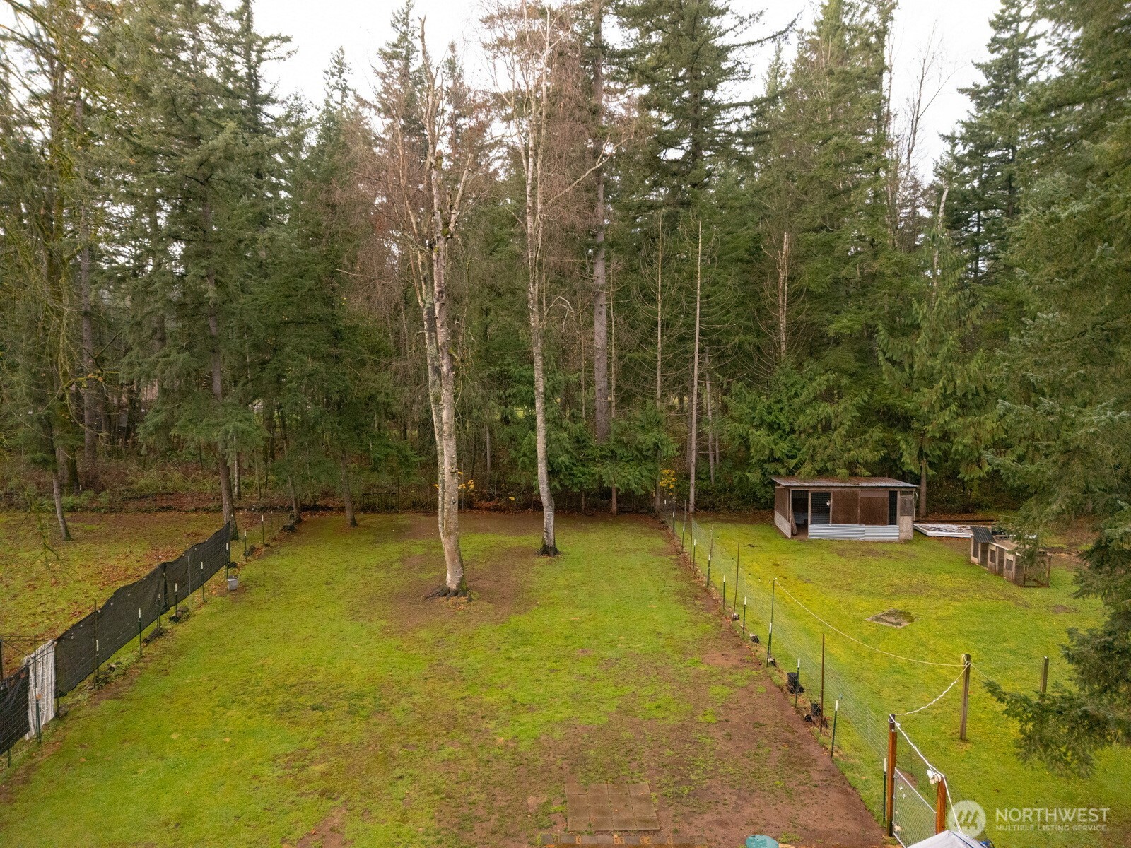 3630 Sorenson Road Everson, WA 98247 - Photo 33 of 39 a view of a swimming pool with a patio
