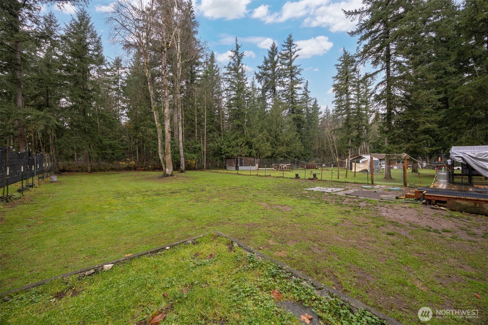 3630 Sorenson Road Everson, WA 98247 - Photo 34 of 39 a view of a park with large trees