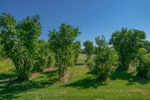 $1,495,000 | 697 Fort Hill Road, Gorham, ME 04038