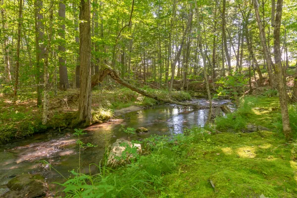 $1,495,000 | 697 Fort Hill Road, Gorham, ME 04038