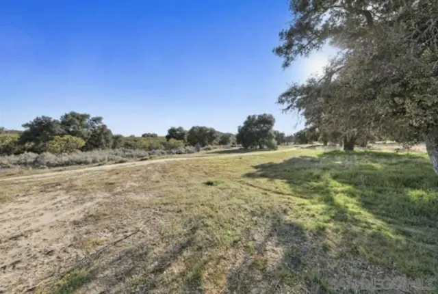a view of a field with trees in background