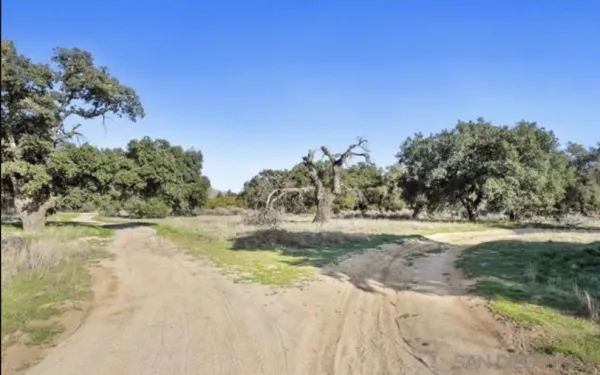 a view of ocean view with large trees