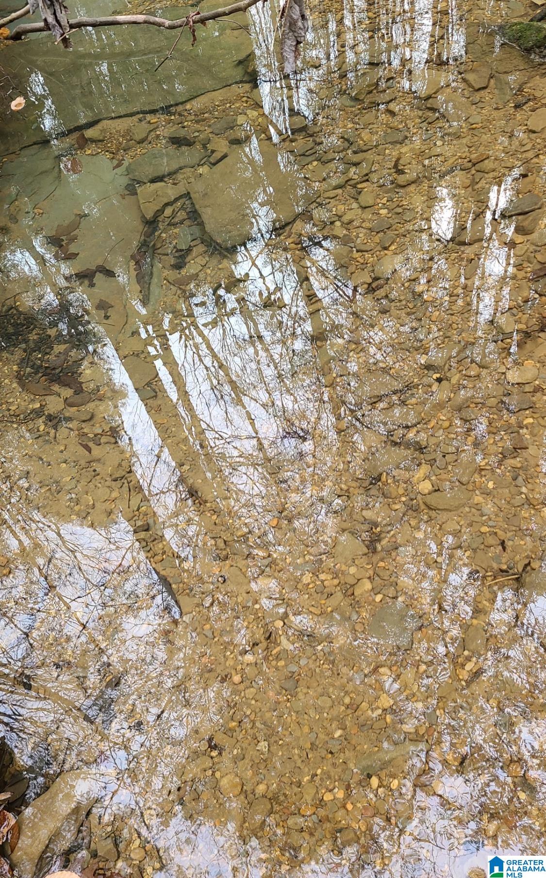 2 County Road 2, Unit 50 / ACRES Double Springs, AL 35553 - Photo 71 of 79