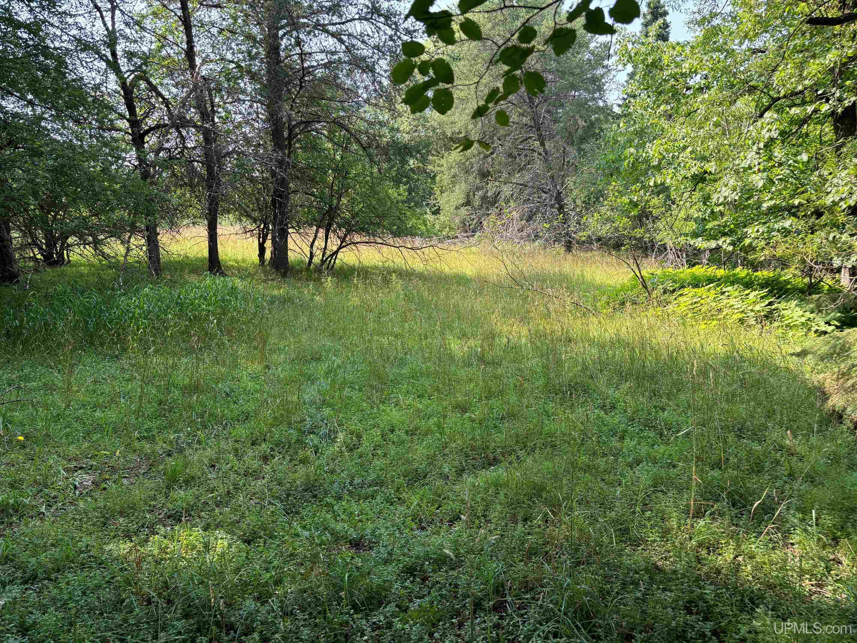 21505 River Trails Road Houghton, MI 49931 - Photo 7 of 11