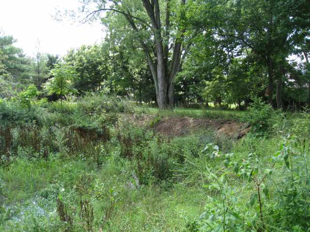 3588 Cemetery Road Hilliard, OH 43026 - Photo 5 of 6 Gallery Image 5