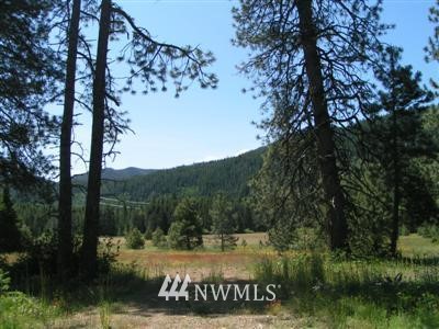 L8 B Old Cedars Road Cle Elum, WA 98922 - Photo 1 of 1 Gallery Image 1