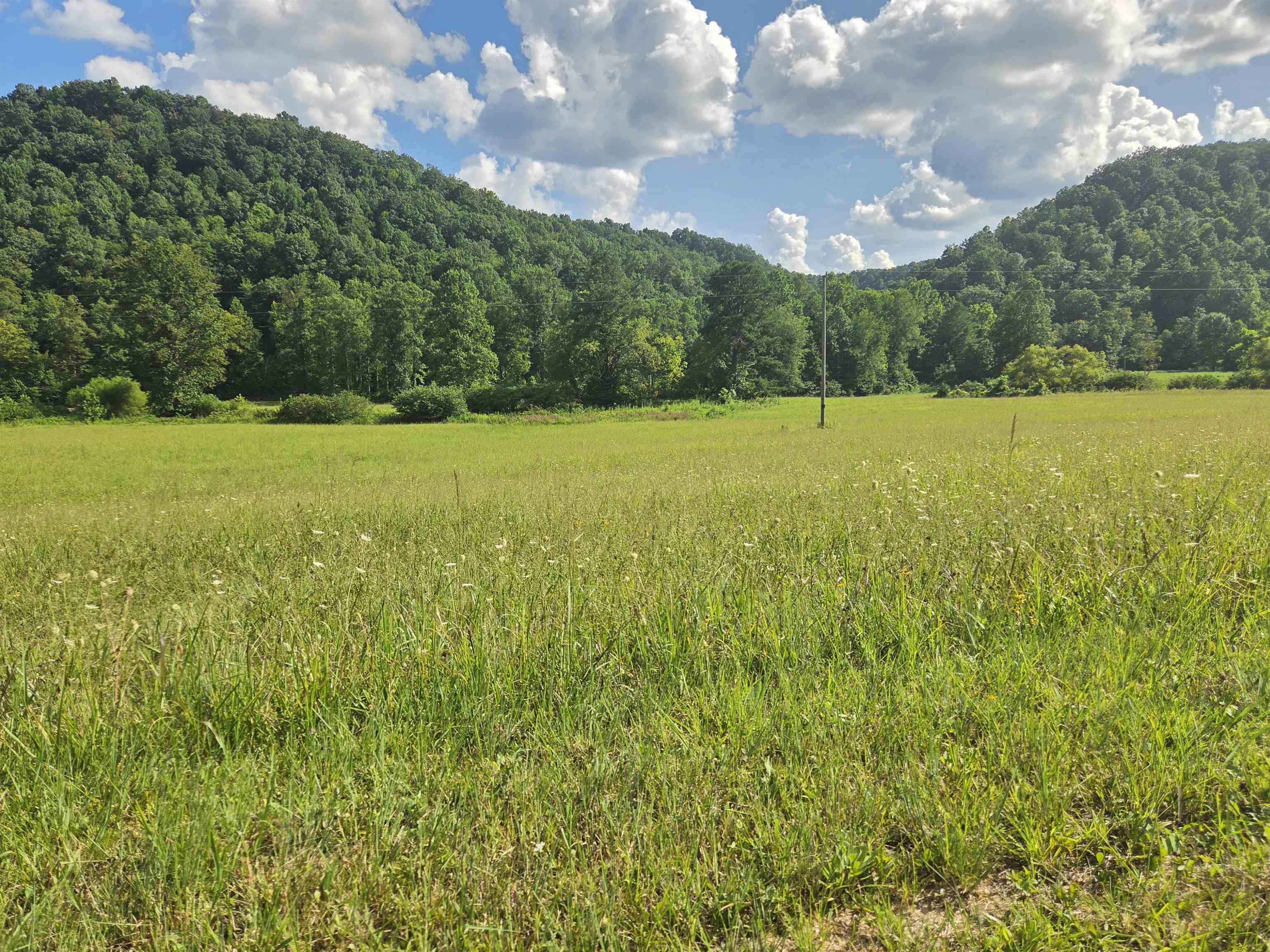 0 Tar Fork Road Vanceburg, KY 41179 - Photo 31 of 33 Gallery Image 31