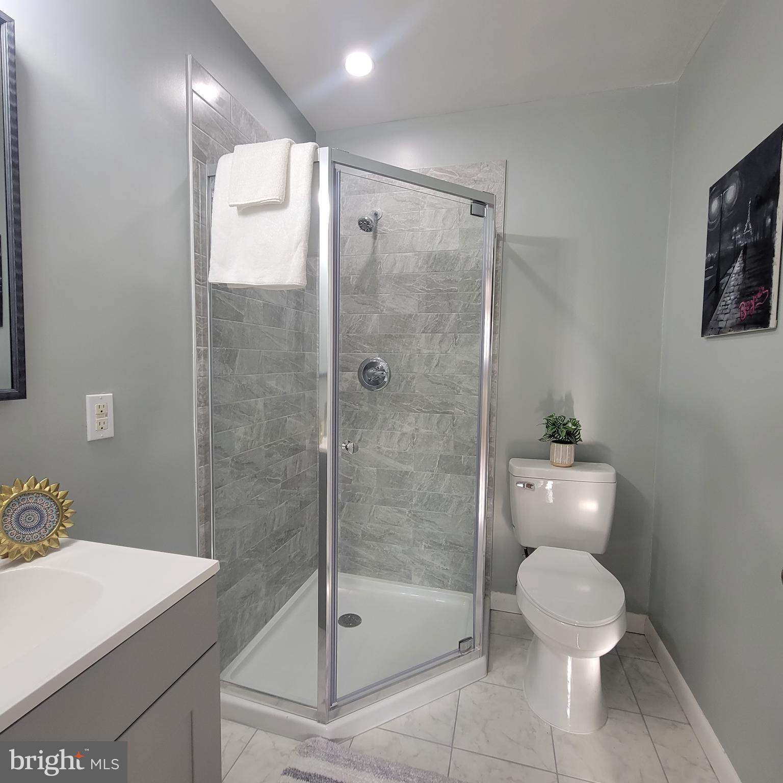 401 Rosier Road Fort Washington, MD 20744 - Photo 22 of 40 Hall bath--all new!