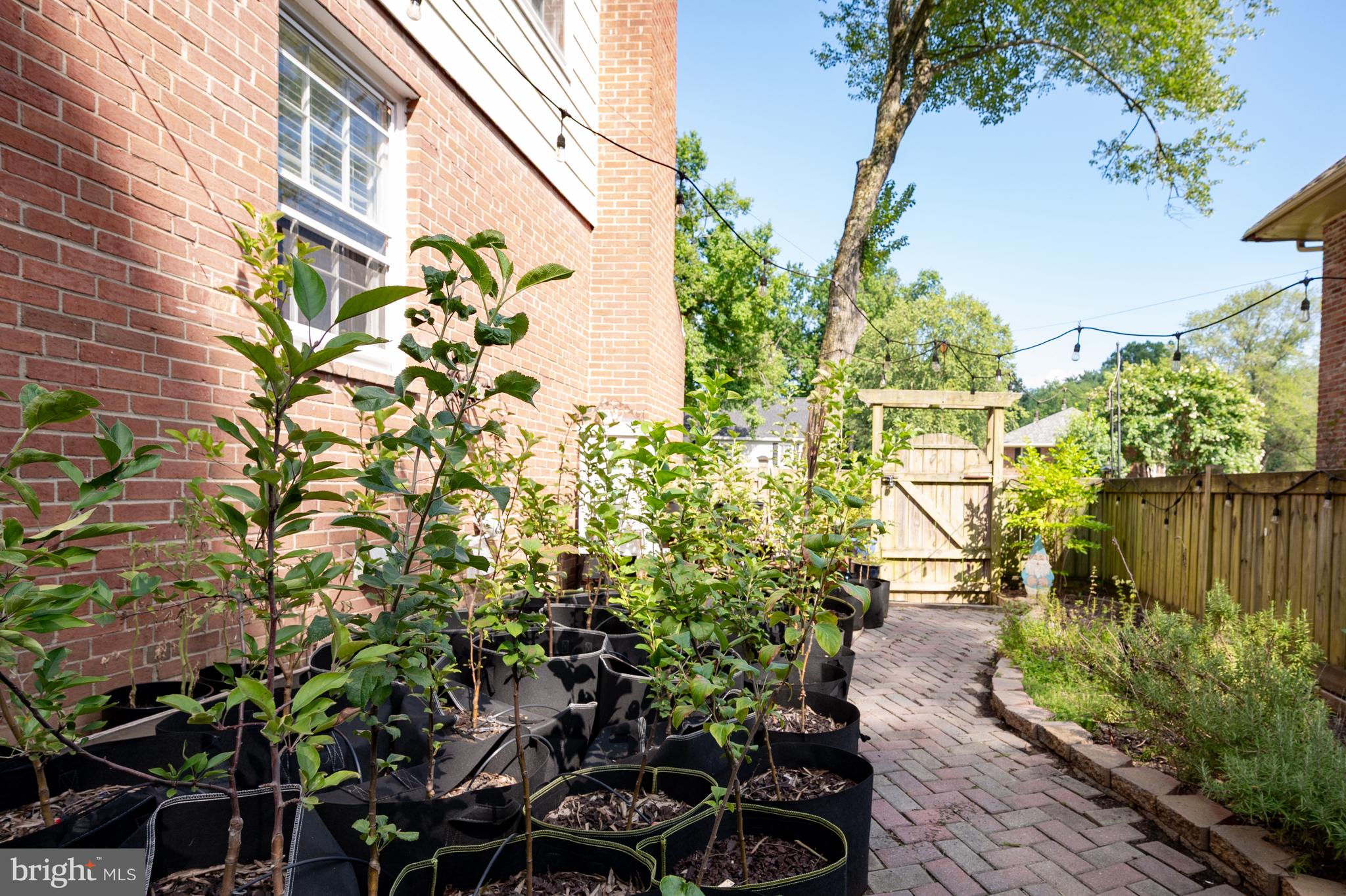 1102 Alden Road Alexandria, VA 22308 - Photo 51 of 62 Gallery Image 51