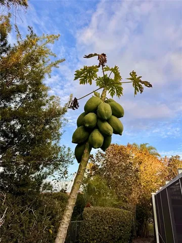 $800,000 | 1249 Lake Point Drive, Lakeland, FL 33813