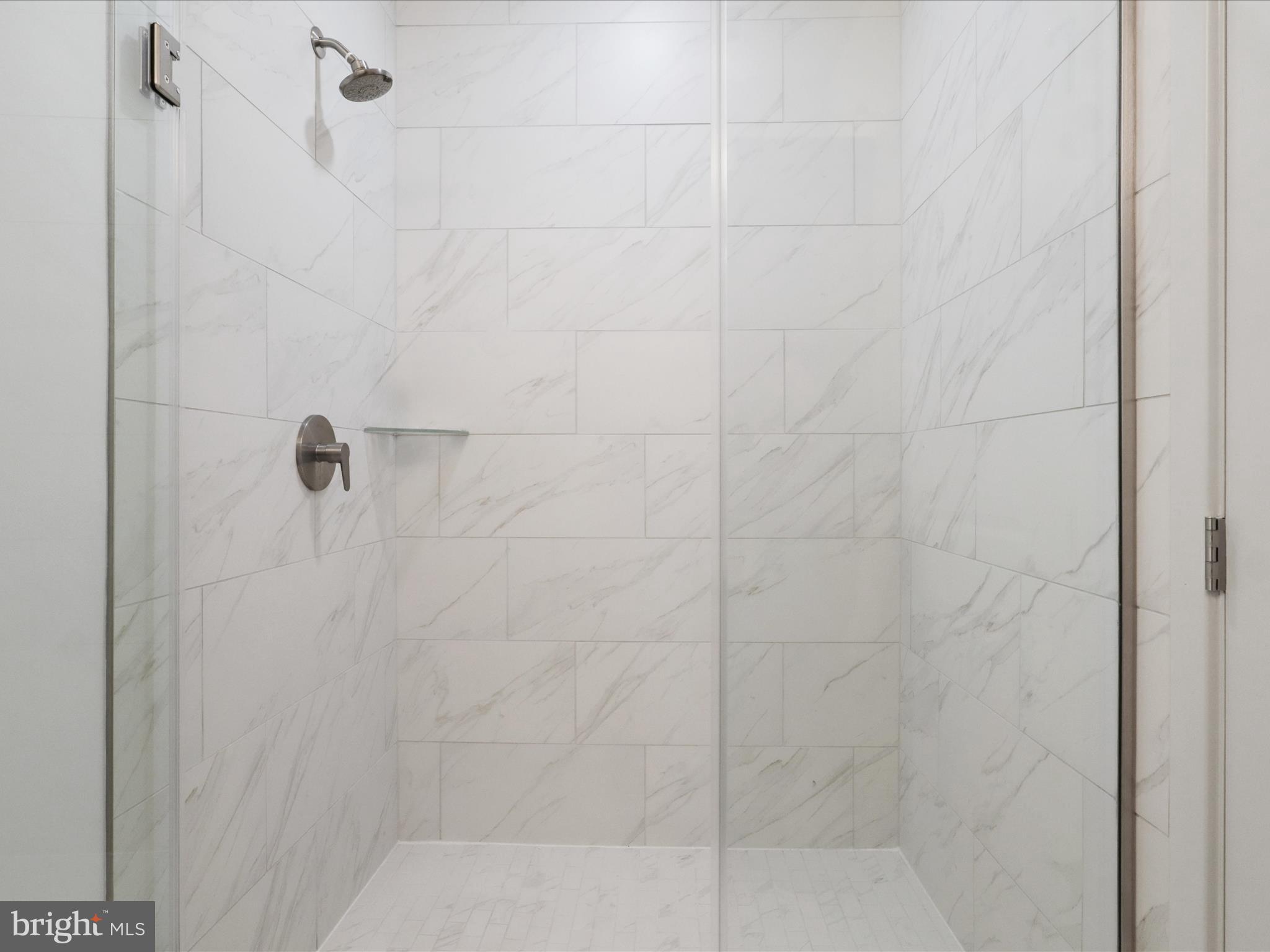 10755 Fairgrounds Drive, Unit 101 Fairfax, VA 22030 - Photo 30 of 58 Walk-in shower