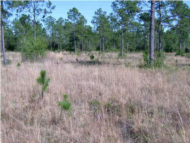 5270 Ward Basin Road Milton, FL 32583 - Photo 3 of 6 VIEW OF PROPERTY