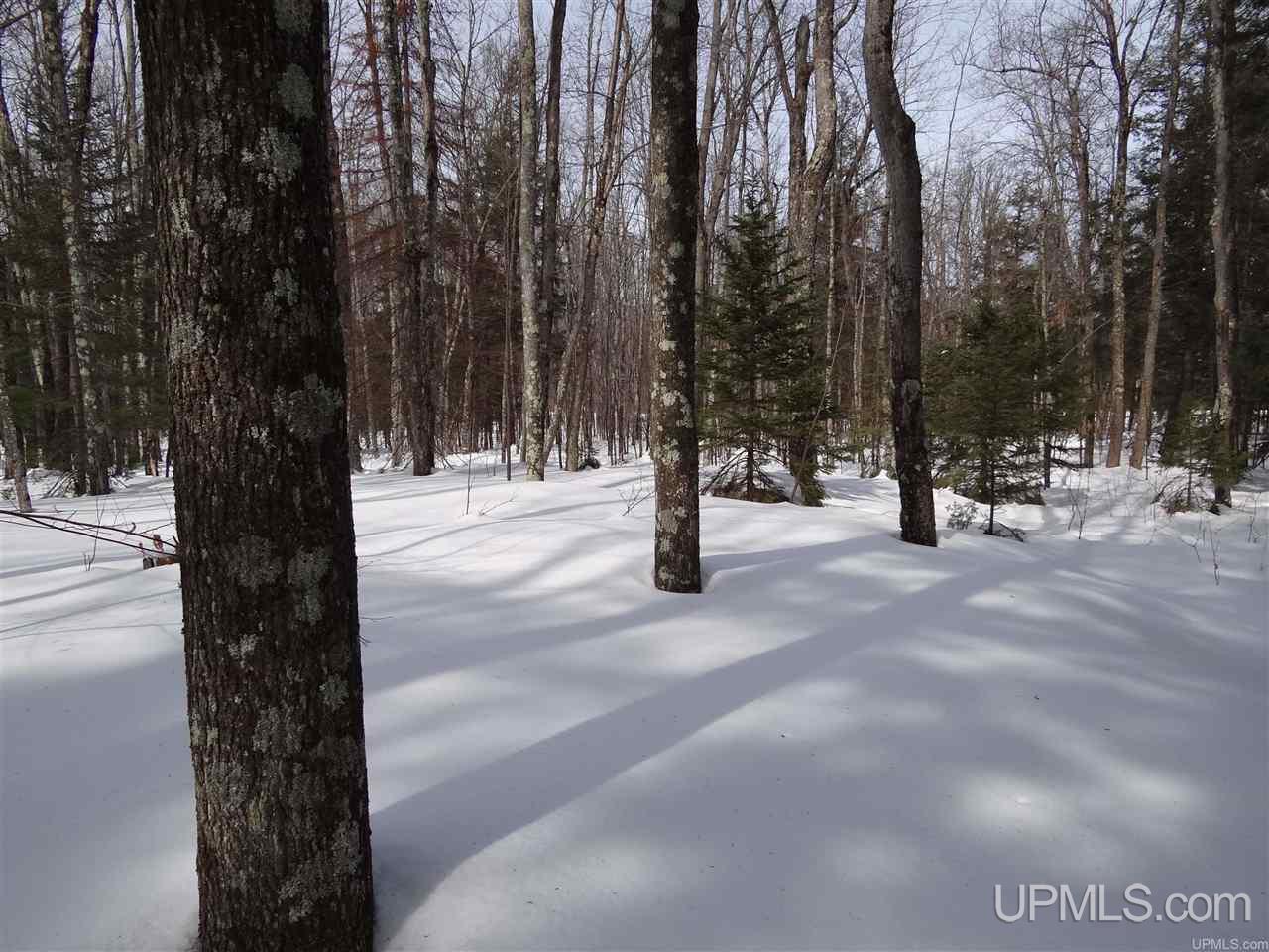 Tbd Dogpatch Road, Unit LOT J Lanse, MI 49946 - Photo 10 of 16