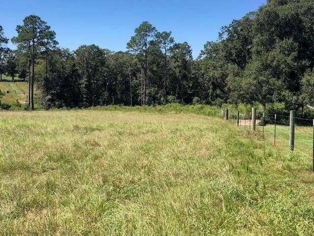 28-ac Prescott Road Florala, AL 36442 - Photo 2 of 36 Gallery Image 2