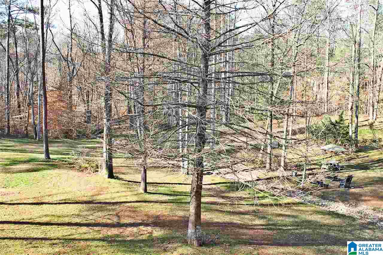 100 Amy Lane Heflin, AL 36264 - Photo 21 of 41