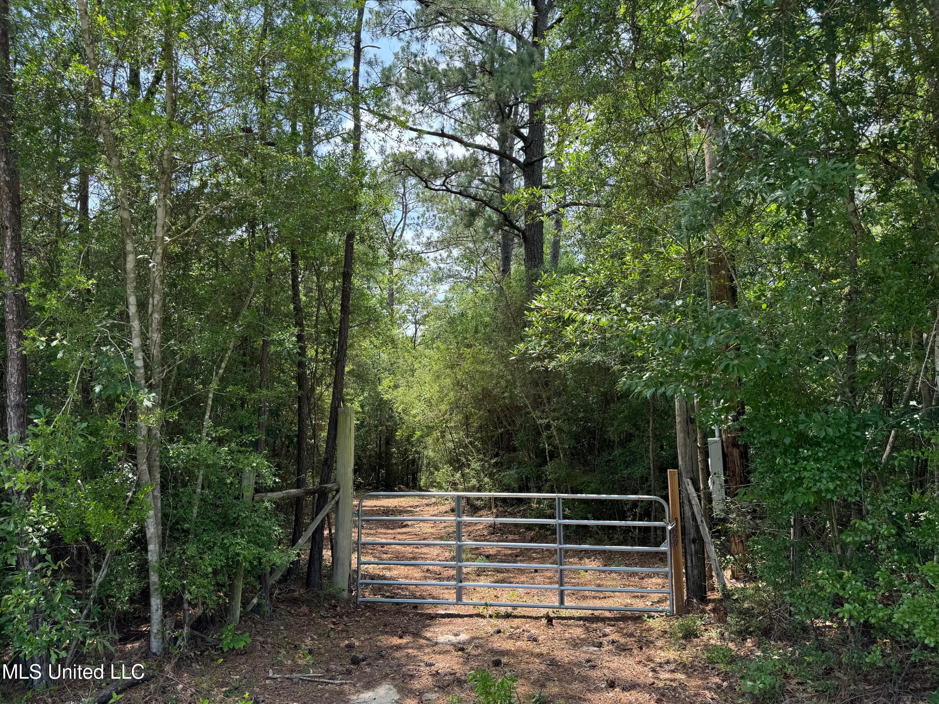 Riverline Road Saucier, MS 39574 - Photo 1 of 10 Entrance