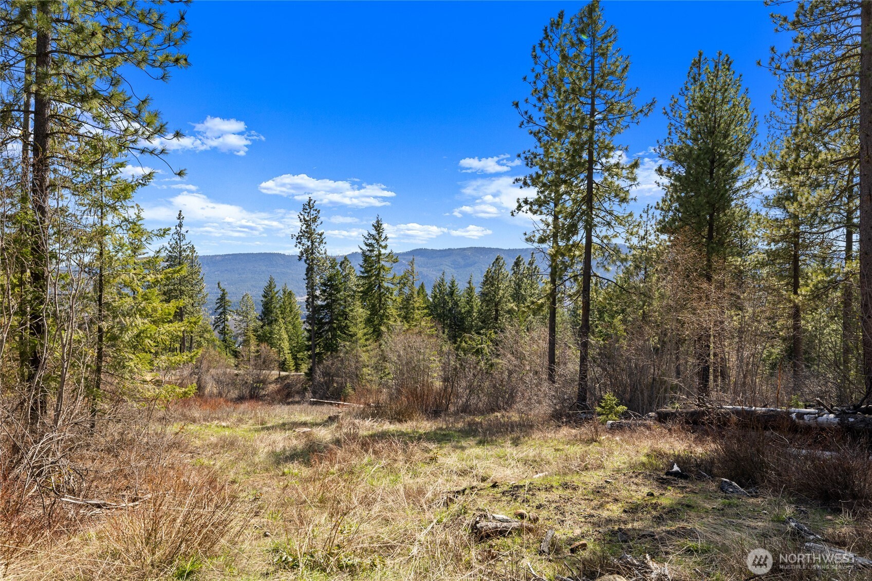 6 Forest Ridge Cle Elum, WA 98922 - Photo 10 of 28