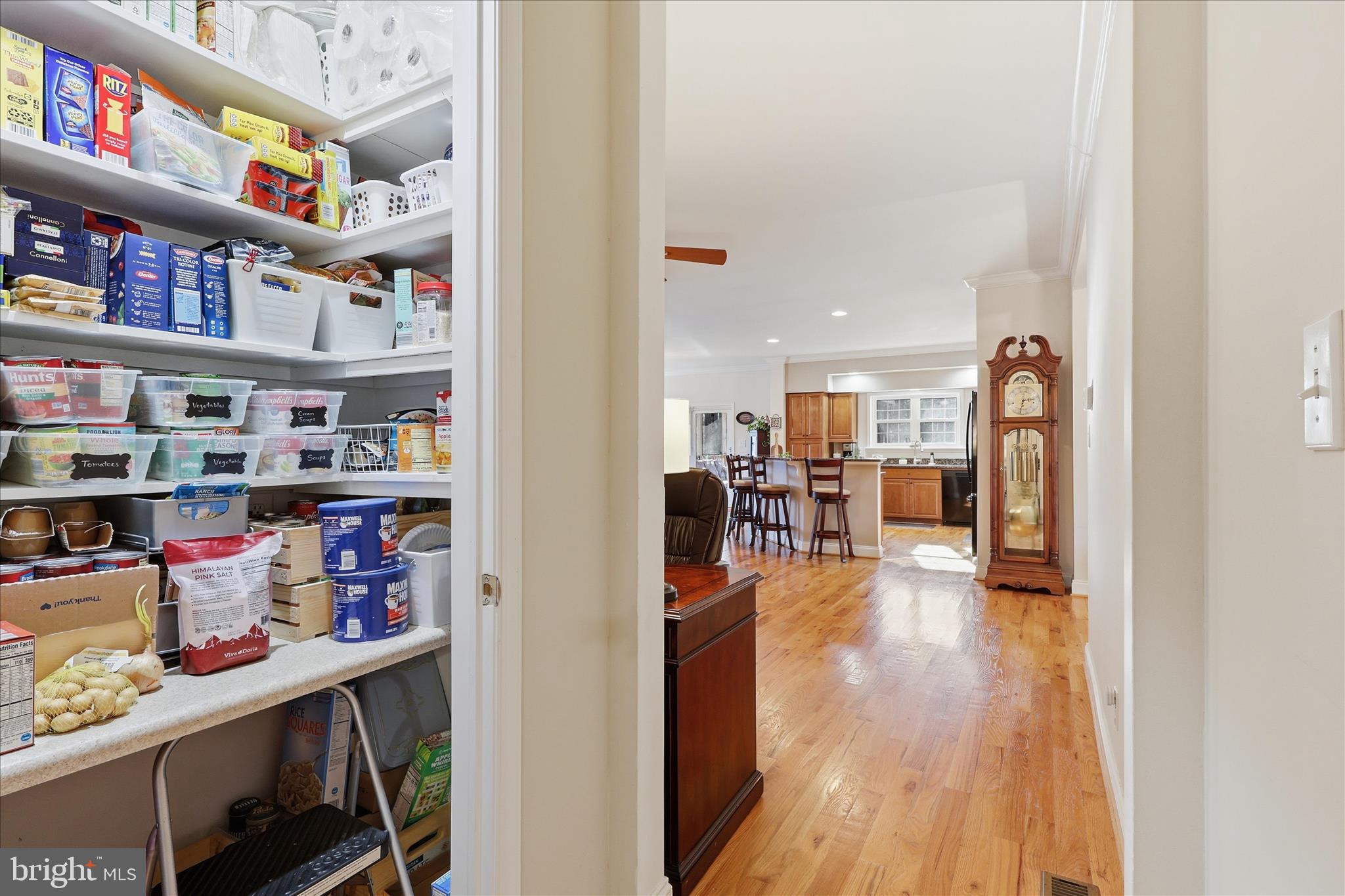 157 Roderick Place Mineral, VA 23117 - Photo 21 of 69 a living room with lots of furniture and a book shelf