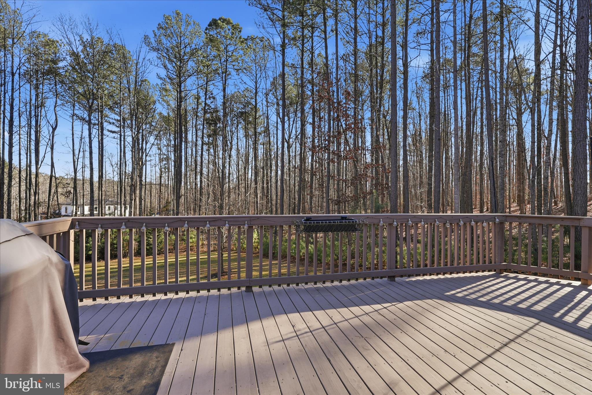 157 Roderick Place Mineral, VA 23117 - Photo 22 of 69