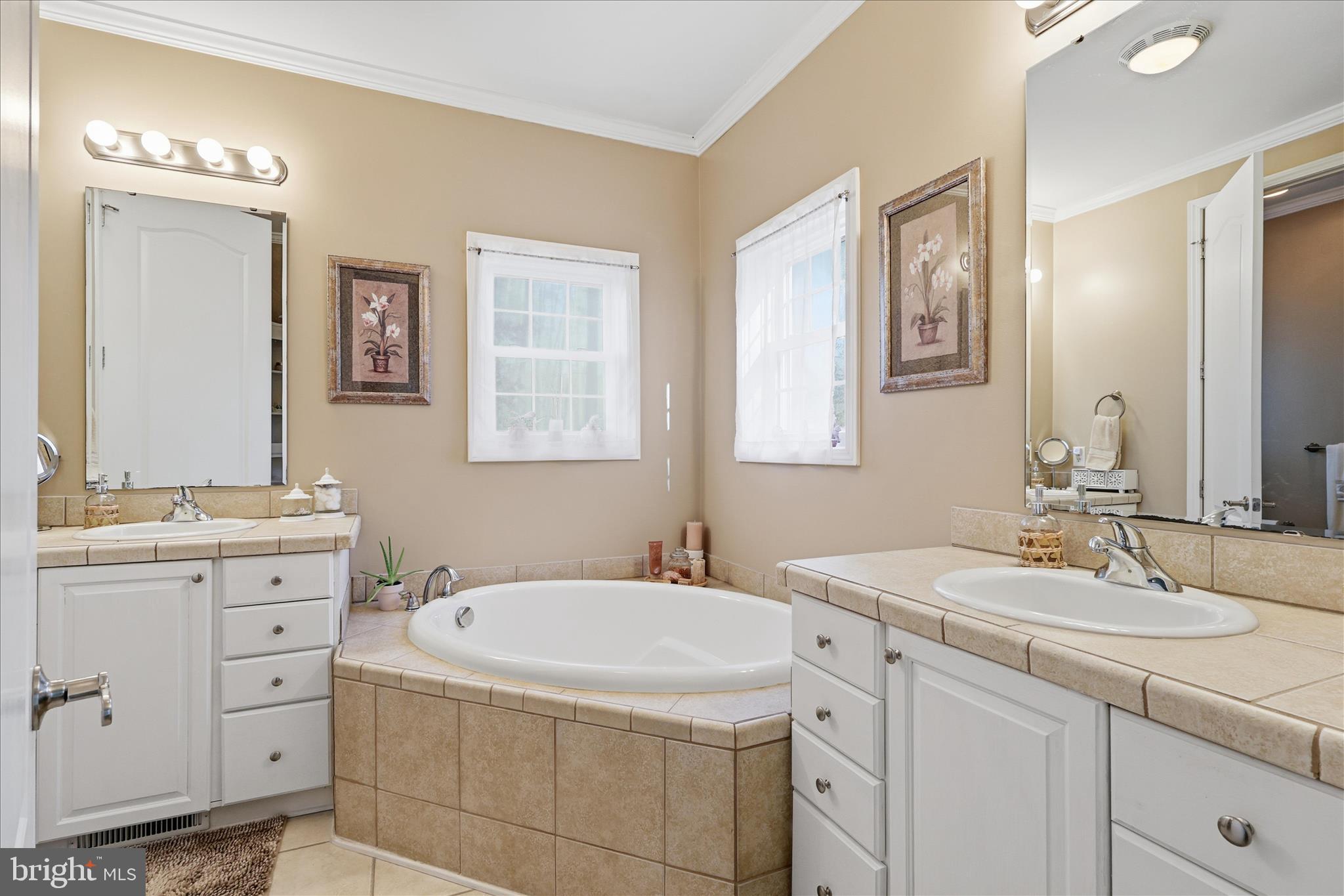 157 Roderick Place Mineral, VA 23117 - Photo 29 of 69 a bathroom with a sink double vanity granite tub and a mirror