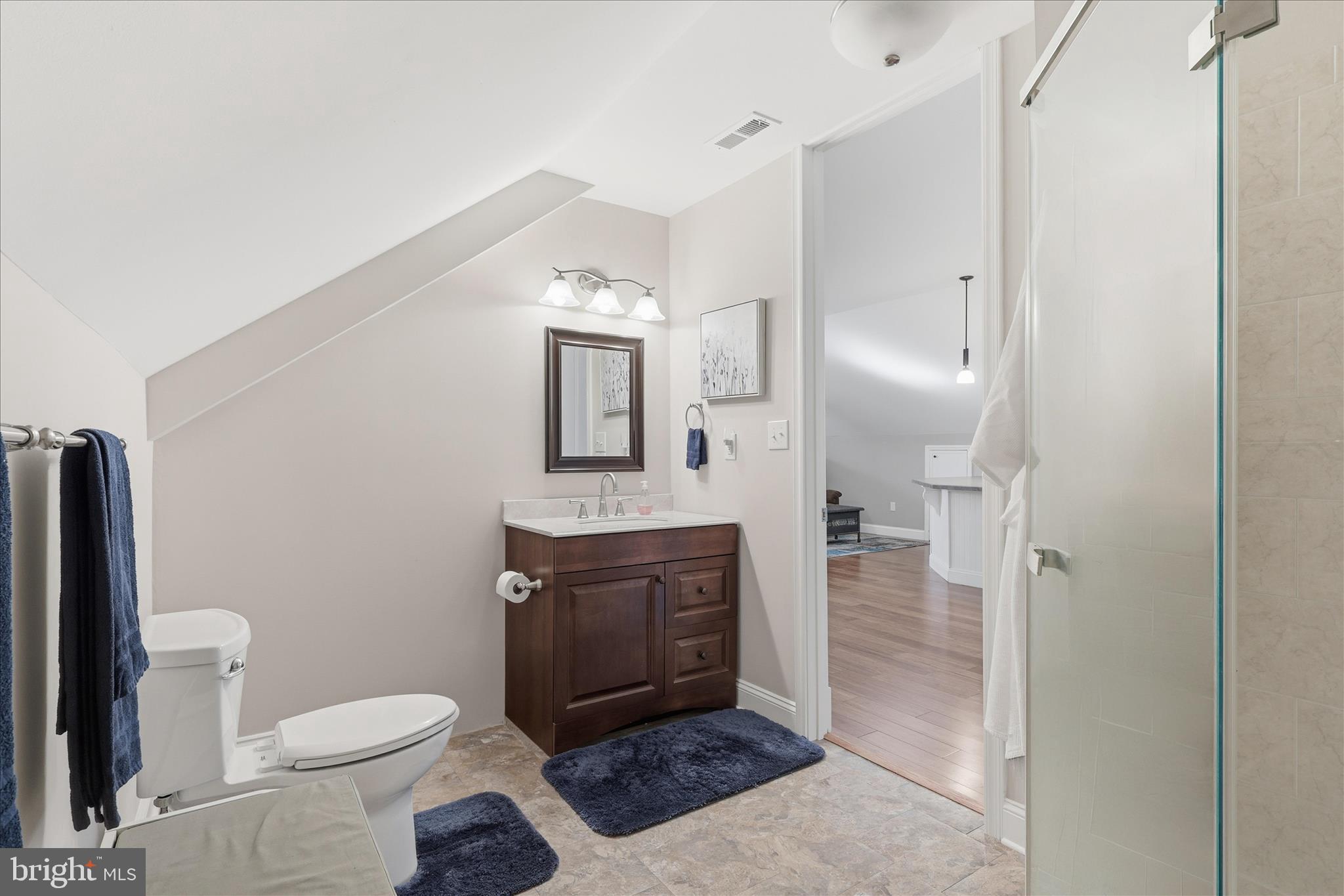 157 Roderick Place Mineral, VA 23117 - Photo 45 of 69 a bathroom with a toilet a sink and mirror