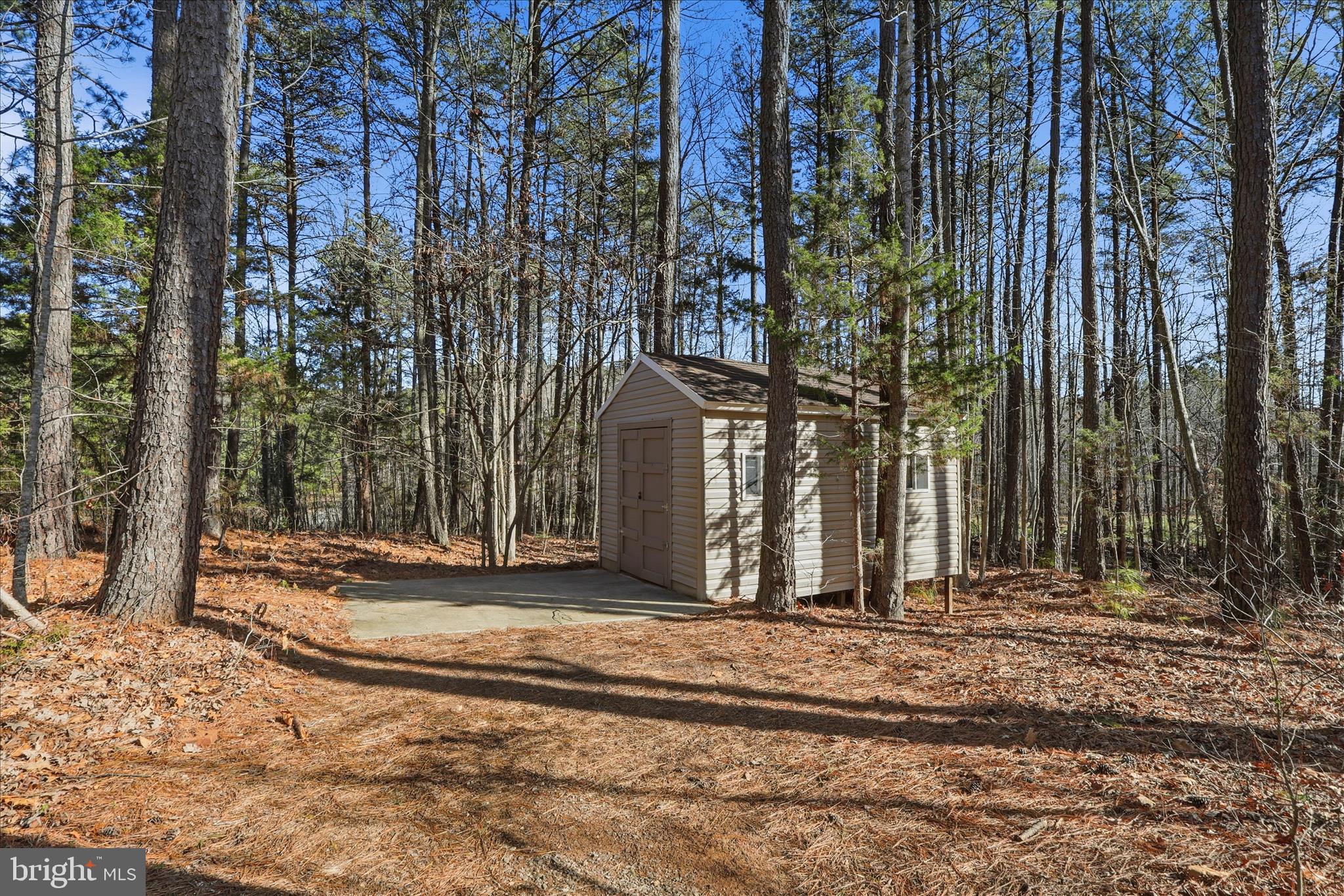 157 Roderick Place Mineral, VA 23117 - Photo 48 of 69 a view of a backyard of a house