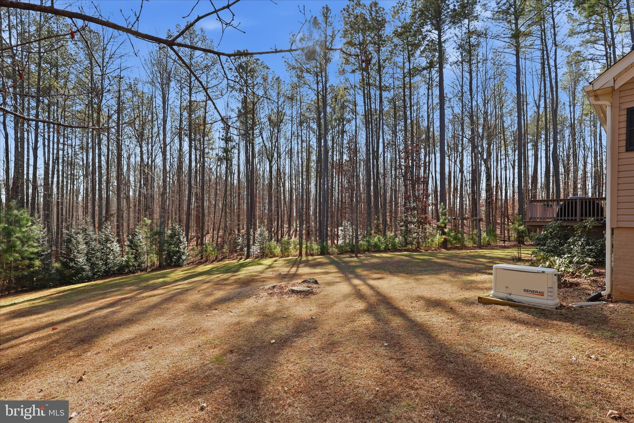 157 Roderick Place Mineral, VA 23117 - Photo 49 of 69 a view of a backyard with of a house