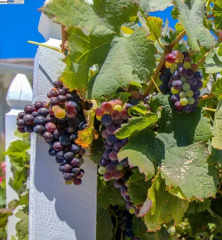 $1,085,000 | 2105 Malbec Common, Livermore, CA 94550