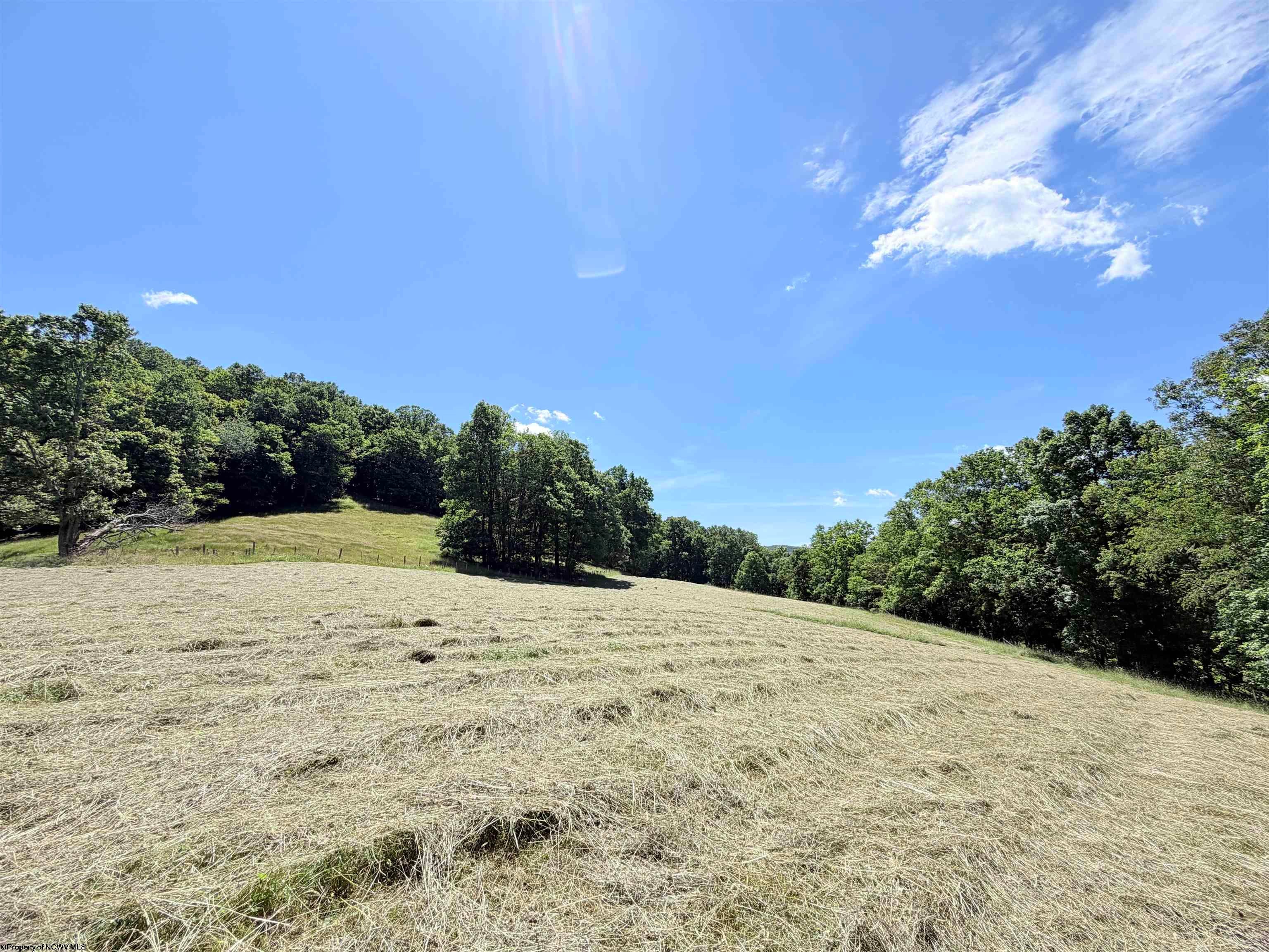 2924 Sinclair Road Moatsville, WV 26405 - Photo 42 of 50 Gallery Image 42