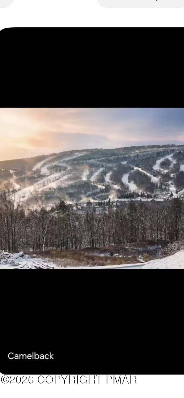 6253 Paradise Valley Road Mount Pocono, PA 18344 - Photo 73 of 73 image000000(38)