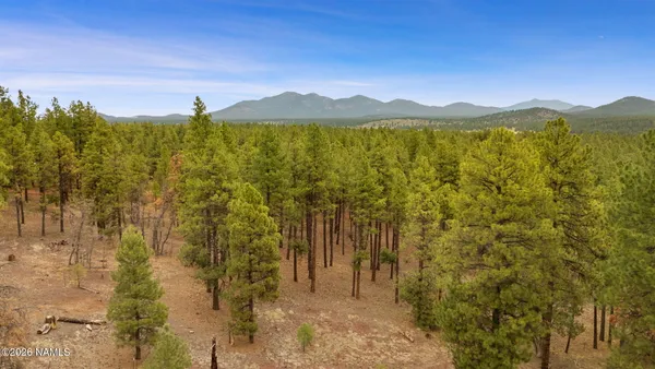 $220,000 | 7804 East Long Bow Drive, Williams, AZ 86046